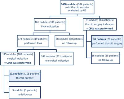Combining CEUS and ultrasound parameters in thyroid nodule and cancer diagnosis: a TIRADS-based evaluation